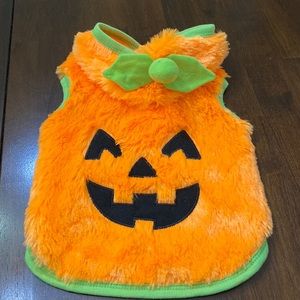Size Small Dog Pumpkin Costume